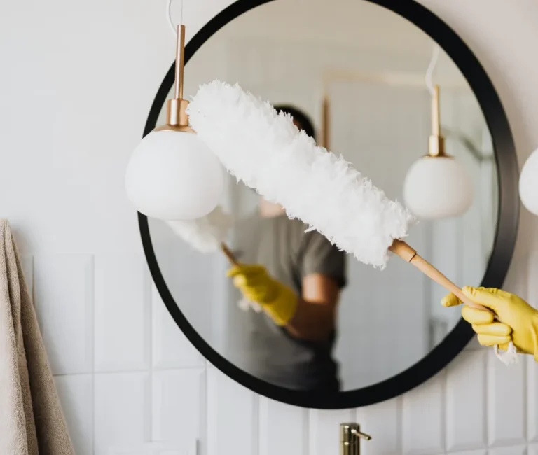 entreprise de nettoyage a person holding a white feather duster